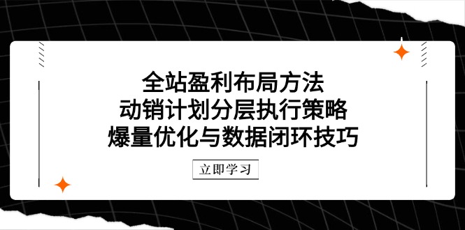 全站盈利布局方法:动销计划分层执行策略,爆量优化与数据闭环技巧-一个公司创业项目 - 淘金吧