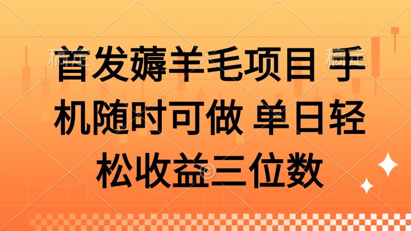 薅羊毛项目 手机随时可做 单日轻松收益三位数-一个公司创业项目 - 淘金吧