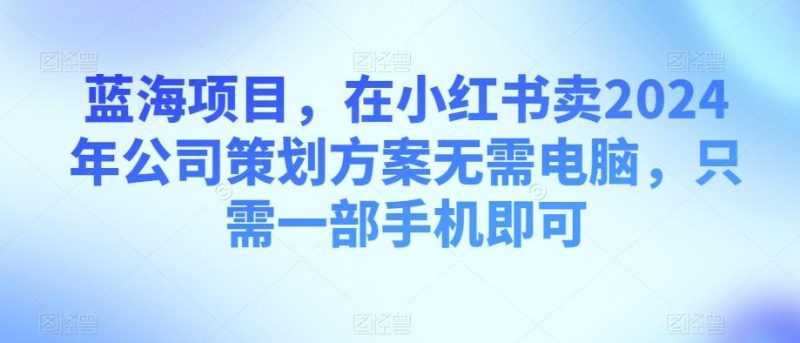 蓝海项目，在小红书卖2024年公司策划方案无需电脑，只需一部手机即可-一人公司创业项目 - 淘金吧