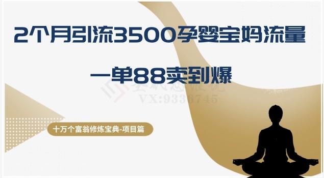 十万个富翁修炼宝典之13.2个月引流3500孕婴宝妈流量，一单88卖到爆-一个公司创业项目 - 淘金吧