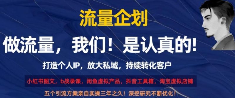流量企划,打造个人IP,放大私域,持续转化客户【揭秘】-一个公司创业项目 - 淘金吧