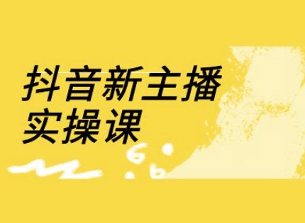 抖音新主播实操课，直播间流量运营线上实操课(18节)-一个公司创业项目 - 淘金吧