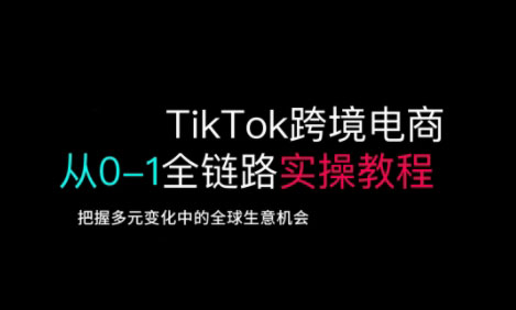 TikTok电商运营从基础到高阶全方位实操-一个公司创业项目 - 淘金吧