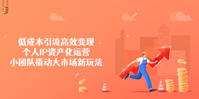 低成本引流高效变现，个人IP资产化运营，小团队撬动大市场新玩法-一个公司创业项目 - 淘金吧