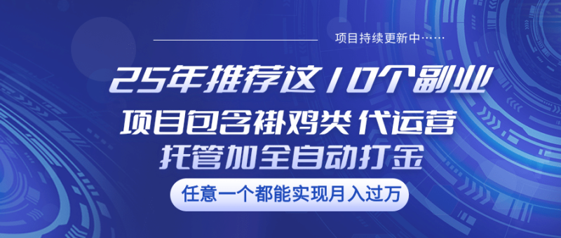 25年推荐这10个副业 项目包含褂鸡类、代运营托管类、全自动打金类-一个公司创业项目 - 淘金吧