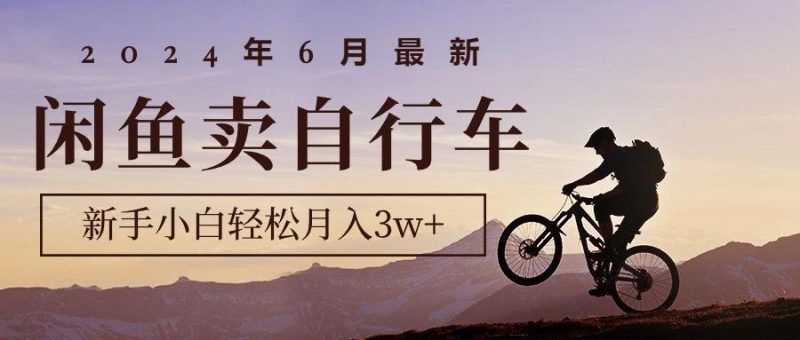 2024年6月最新闲鱼卖自行车,新手小白轻松月入3w+项目-一个公司创业项目 - 淘金吧