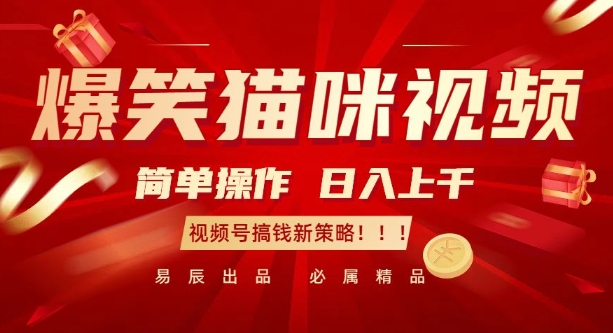 爆笑猫咪视频:简单操作,日入过K,视频号搞钱新策略【揭秘】-一个公司创业项目 - 淘金吧