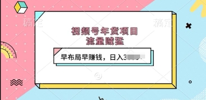 视频号年货项目,流量贼猛,早布局早挣钱,日入上k【揭秘】-一个公司创业项目 - 淘金吧