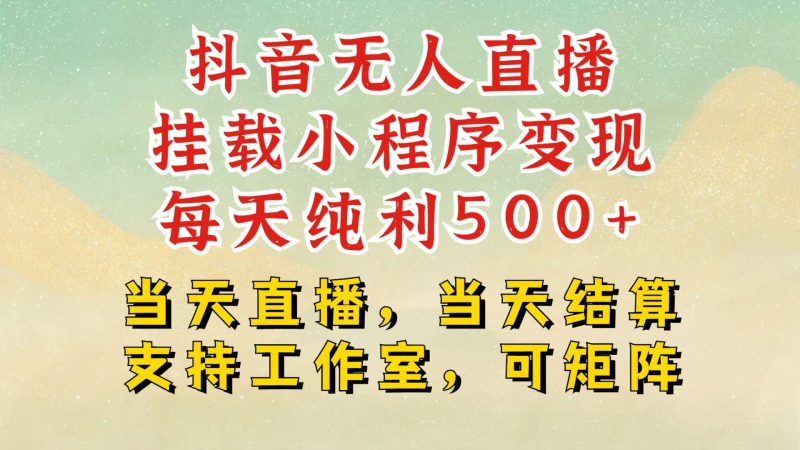 抖音无人挂机项目，轻松日入500+,挂载小程序玩法，不违规不封号，有号的一定挂起来-一个公司创业项目 - 淘金吧
