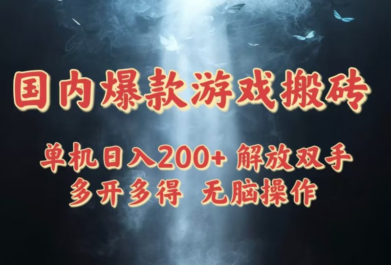 国内爆款游戏搬砖，单机日入200+，长期稳定，多开多得，无脑操作-一个公司创业项目 - 淘金吧