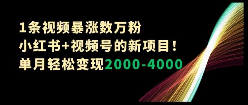 1条视频暴涨数万粉–小红书+视频号的新项目!单月轻松变现2000-4000【揭秘】-一个公司创业项目 - 淘金吧