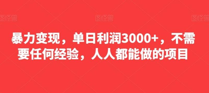 暴力变现,单日利润3000+,不需要任何经验,人人都能做的项目-一个公司创业项目 - 淘金吧