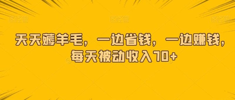 天天薅羊毛，一边省钱，一边赚钱，每天被动收入70+-一个公司创业项目 - 淘金吧