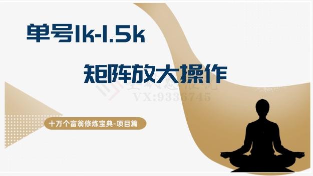 十万个富翁修炼宝典15.单号1k-1.5k，矩阵放大操作-一个公司创业项目 - 淘金吧