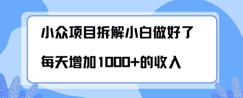 小众项目拆解，小白做好了每天可增加1000多的收入-一个公司创业项目 - 淘金吧