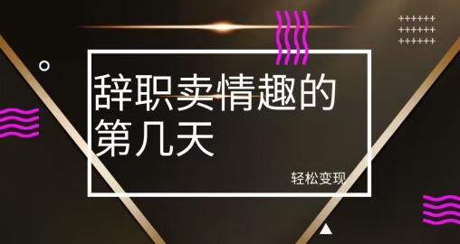 冷门赛道，辞职卖情趣的第几天，超暴力项目-一个公司创业项目 - 淘金吧