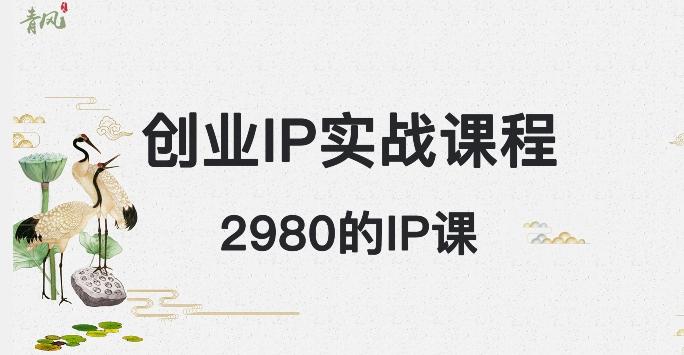 外边卖2980的创业IP课程，做私域月入5w+-一个公司创业项目 - 淘金吧