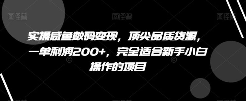 实操咸鱼数码变现，顶尖品质货源，一单利润200+，完全适合新手小白操作的项目【揭秘】-一个公司创业项目 - 淘金吧