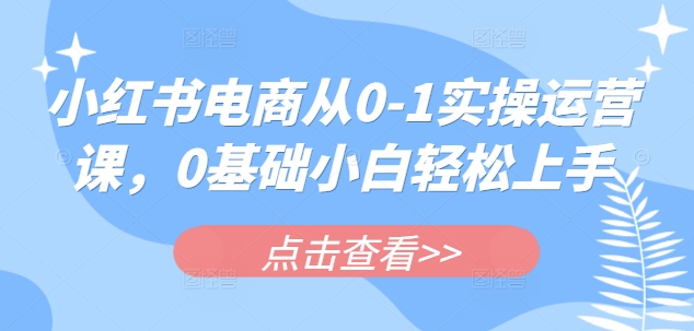 小红书电商从0-1实操运营课,0基础小白轻松上手-一个公司创业项目 - 淘金吧