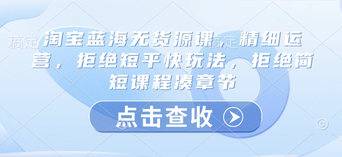 淘宝蓝海无货源课,精细运营,拒绝短平快玩法,拒绝简短课程凑章节-一个公司创业项目 - 淘金吧