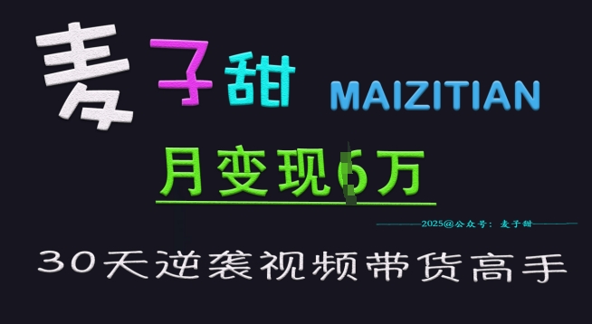 麦子甜30天逆袭视频带货高手，单月变现6W加特训营-一个公司创业项目 - 淘金吧