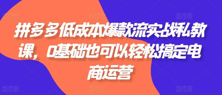 拼多多低成本爆款流实战私教课，0基础也可以轻松搞定电商运营-一个公司创业项目 - 淘金吧