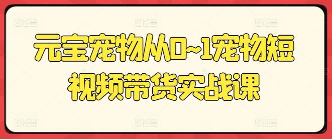 元宝宠物从0~1宠物短视频带货实战课-一个公司创业项目 - 淘金吧