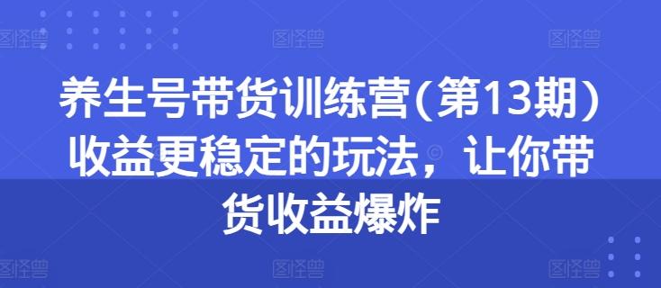 养生号带货训练营(第13期)收益更稳定的玩法，让你带货收益爆炸-一个公司创业项目 - 淘金吧