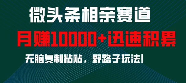 微头条相亲赛道，迅速积累，无脑复制粘贴，野路子玩法，月入1w-一个公司创业项目 - 淘金吧