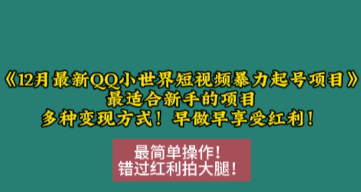 12月最新QQ小世界短视频暴力起号项目,最适合新手的项目,多种变现方式-一个公司创业项目 - 淘金吧