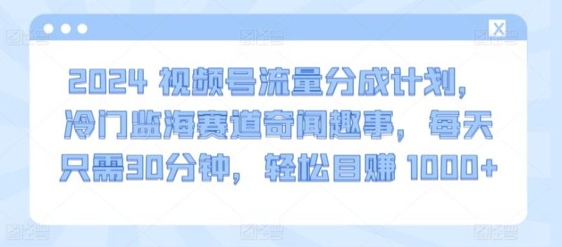 2024视频号流量分成计划，冷门监海赛道奇闻趣事，每天只需30分钟，轻松目赚 1000+【揭秘】-一个公司创业项目 - 淘金吧