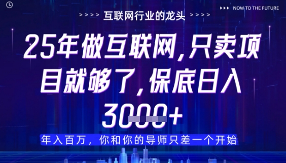 什么!25年你还在找项目做?风口早就变了,卖项目才是稳挣不赔【揭秘】-一个公司创业项目 - 淘金吧