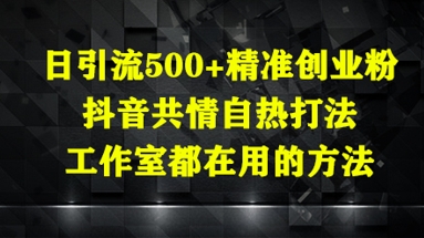 日引流500+精准创业粉,抖音共情自热打法,工作室都在用的方法-一个公司创业项目 - 淘金吧