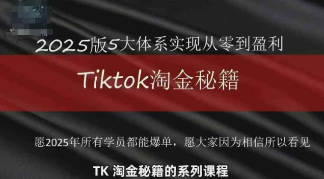 TikTok跨境2025淘金秘籍，​2025TikTok从0到盈利变现-一个公司创业项目 - 淘金吧
