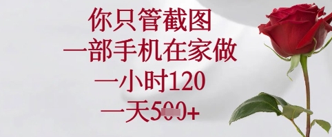 你只管截图,一部手机在家可以做,一小时120.一天5张+【揭秘】-一个公司创业项目 - 淘金吧