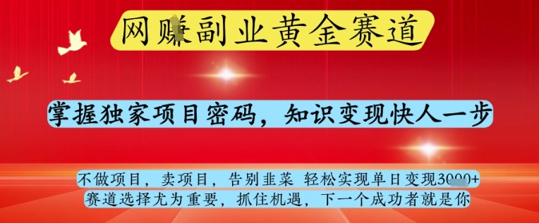 网创副业黄全赛道,掌握独家项目密码,知识变现快人一步,告别韭菜轻松实现单日变现1k+【揭秘】-一个公司创业项目 - 淘金吧