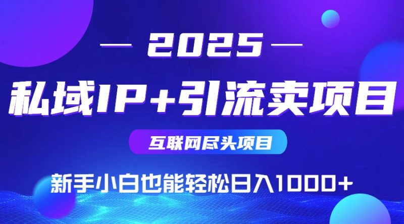 私域IP+卖项目,普通人小白也能轻松实现日入1000+-一个公司创业项目 - 淘金吧