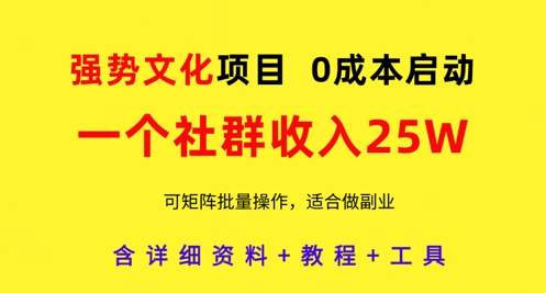 强势文化项目,一个社群收入25个W,0成本启动,可矩阵批量操作,原创详细实操教程-一个公司创业项目 - 淘金吧