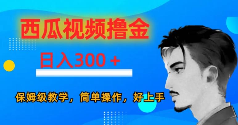 西瓜视频撸金日入300，保姆级教学，简单操作，好上手-一个公司创业项目 - 淘金吧