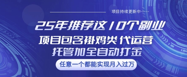 25年推荐这10个副业项目包含褂鸡类、代运营托管类、全自动打金类【揭秘】-一个公司创业项目 - 淘金吧