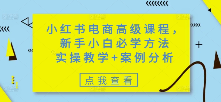 小红书电商高级课程,新手小白必学方法,实操教学+案例分析-一个公司创业项目 - 淘金吧