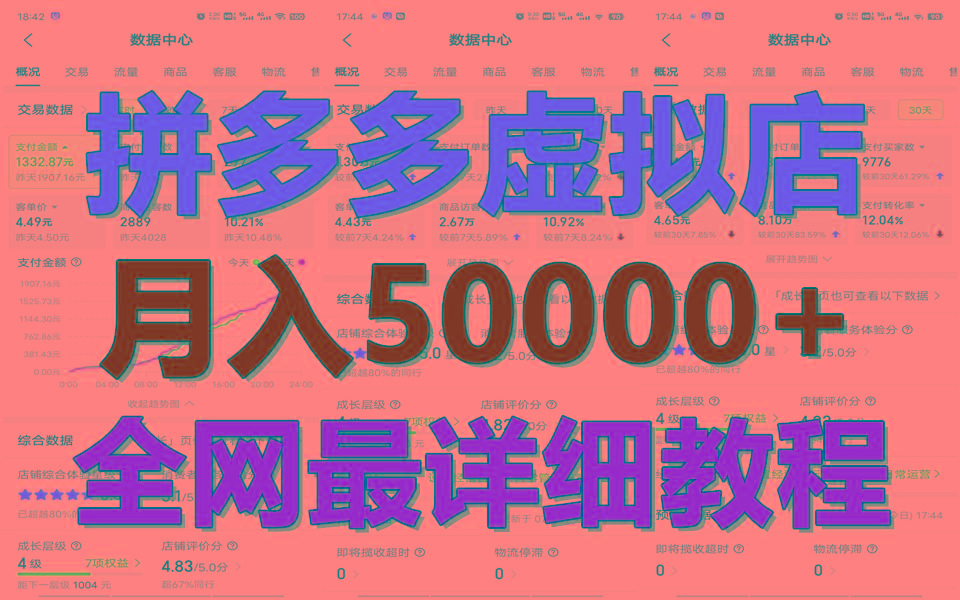 图片[1]-拼多多虚拟电商训练营月入50000+你也行，暴利稳定长久，副业首选-云创网