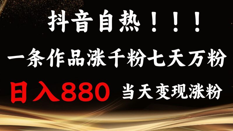 抖音小红书自热,一条作品1000粉,7天万粉,单日变现880收益-一个公司创业项目 - 淘金吧