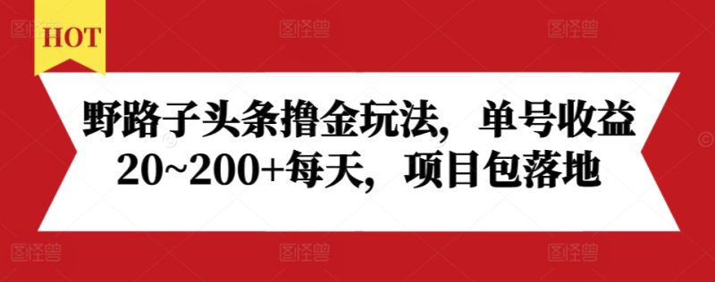 野路子头条撸金玩法,单号收益20~200+每天,项目包落地-一个公司创业项目 - 淘金吧