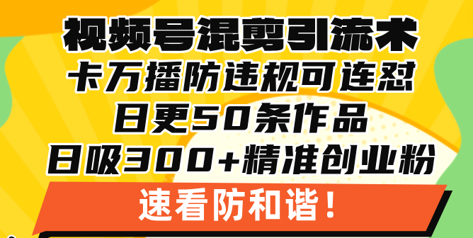 视频号混剪引流技术,500万播放引流17000创业粉,操作简单当天学会-一个公司创业项目 - 淘金吧