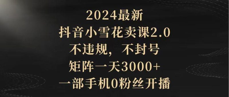 (9639期)2024最新抖音小雪花卖课2.0 不违规 不封号 矩阵一天3000+一部手机0粉丝开播-一个公司创业项目 - 淘金吧