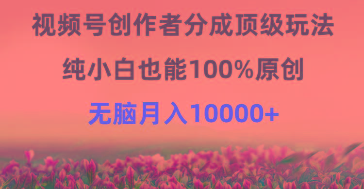 (9608期)视频号创作者分成顶级玩法，纯小白也能100%原创，无脑月入10000+-一个公司创业项目 - 淘金吧