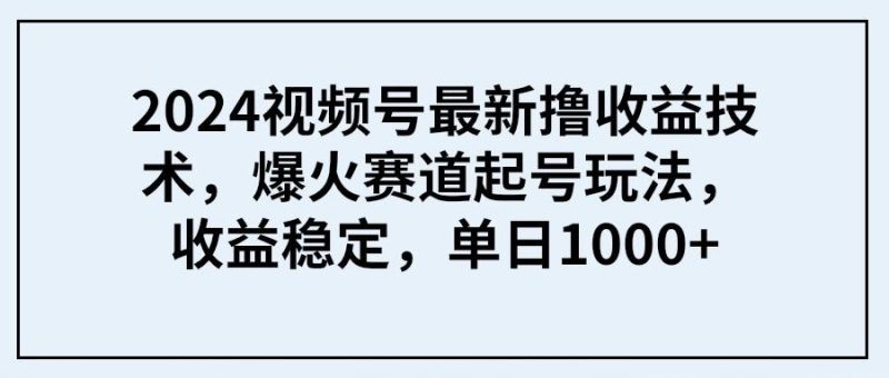 (9651期) 2024视频号最新撸收益技术，爆火赛道起号玩法，收益稳定，单日1000+-一个公司创业项目 - 淘金吧