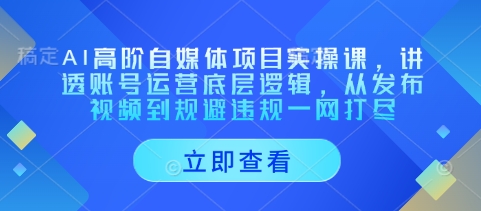 AI高阶自媒体项目实操课,讲透账号运营底层逻辑,从发布视频到规避违规一网打尽-一个公司创业项目 - 淘金吧