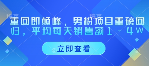 重回即颠峰,男粉项目重磅回归,平均每天销售额1-4W-一个公司创业项目 - 淘金吧
